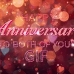 Happy Anniversary to Both of You GIF