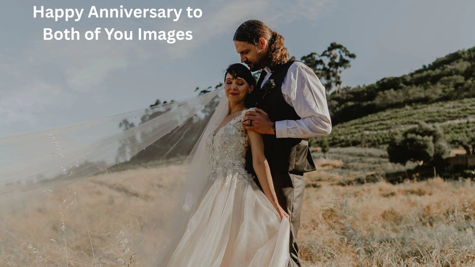 Happy Anniversary to Both of You Images